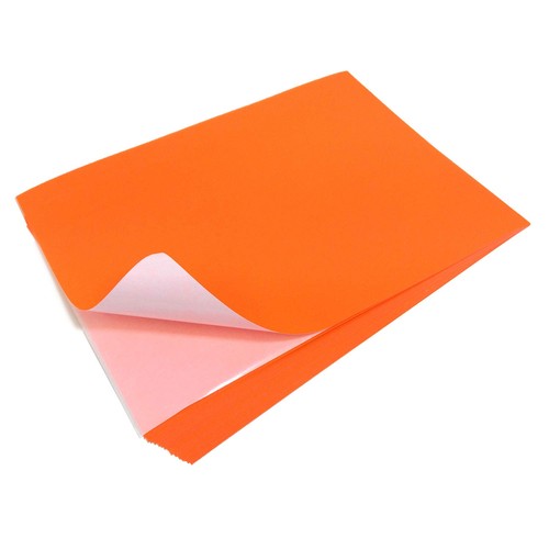 Evergreen goods fogli - evergreen, 10